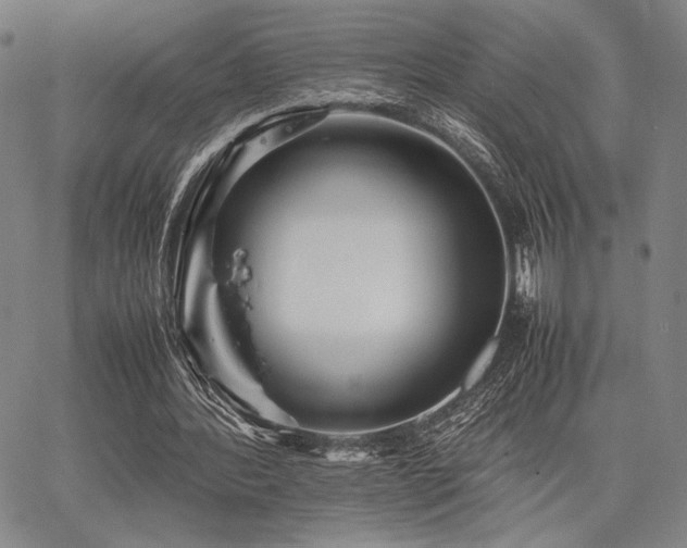 X0000067830388200604131206