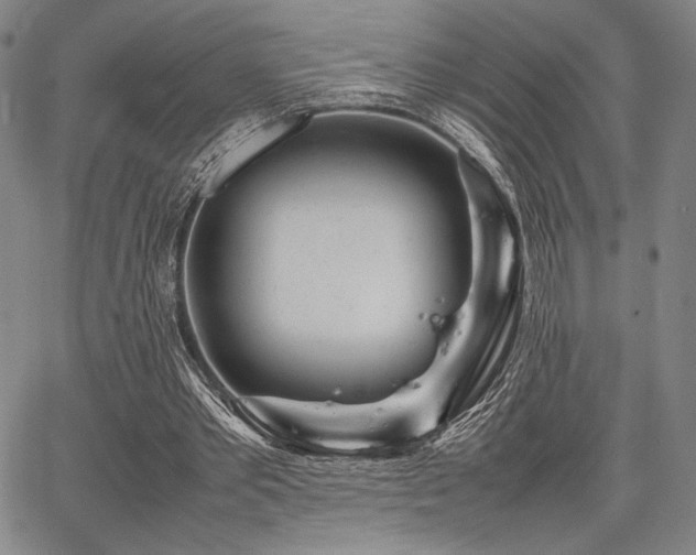 X0000067830389200604131206