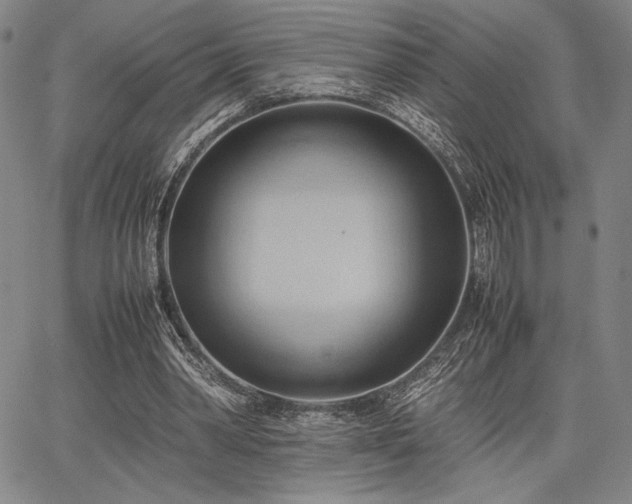 X0000067830390200604131206