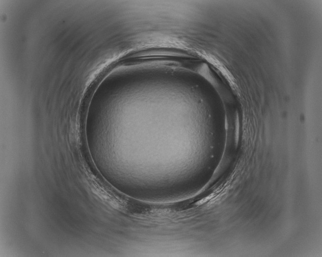 X0000067830391200604131206