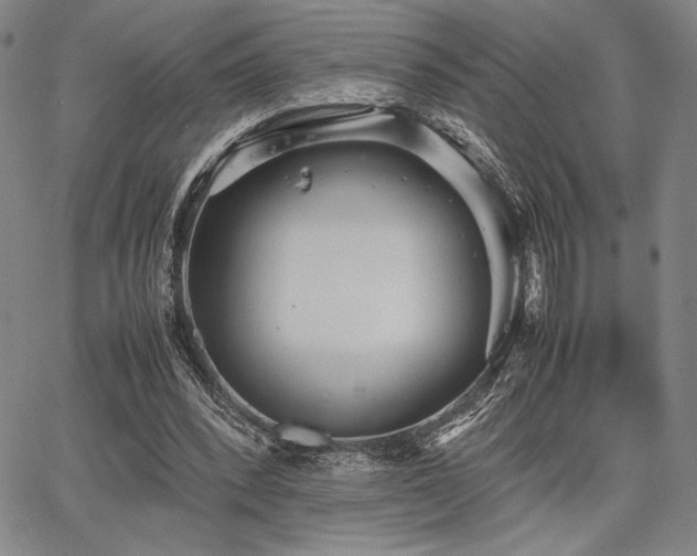 X0000067830392200604131206