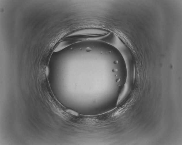 X0000067830393200604131206