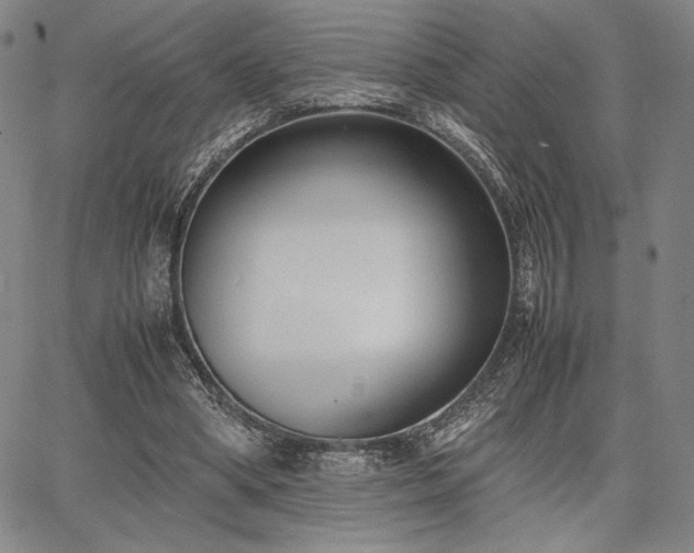 X0000067830394200604131206