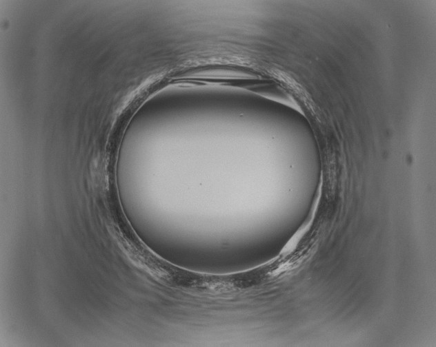 X0000067830395200604131206