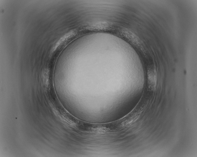 X0000067830396200604131206