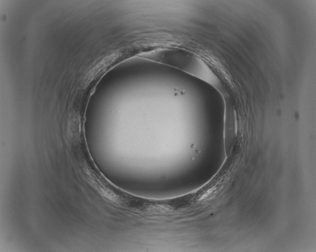 X0000067830397200604131206