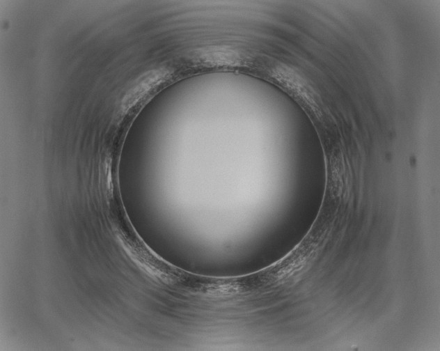 X0000067830398200604131206