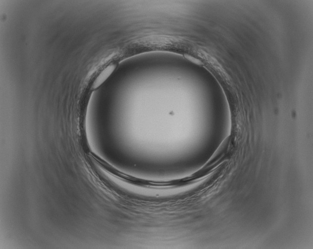 X0000067830399200604131206