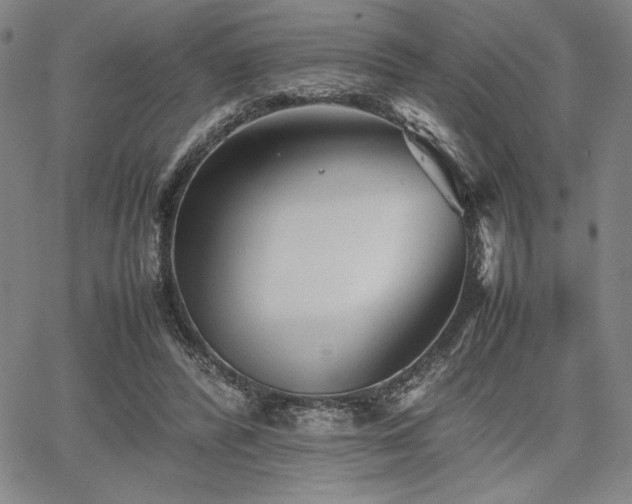 X0000067830400200604131206