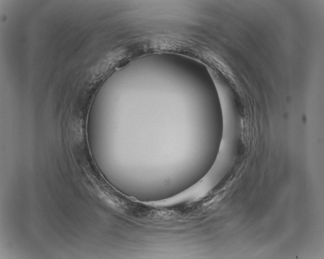 X0000067830401200604131206