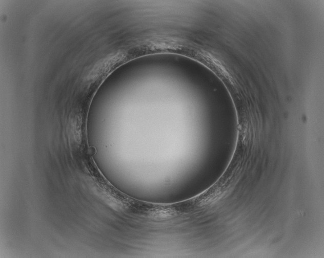 X0000067830402200604131206