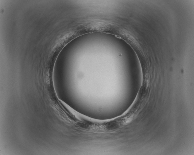 X0000067830403200604131206