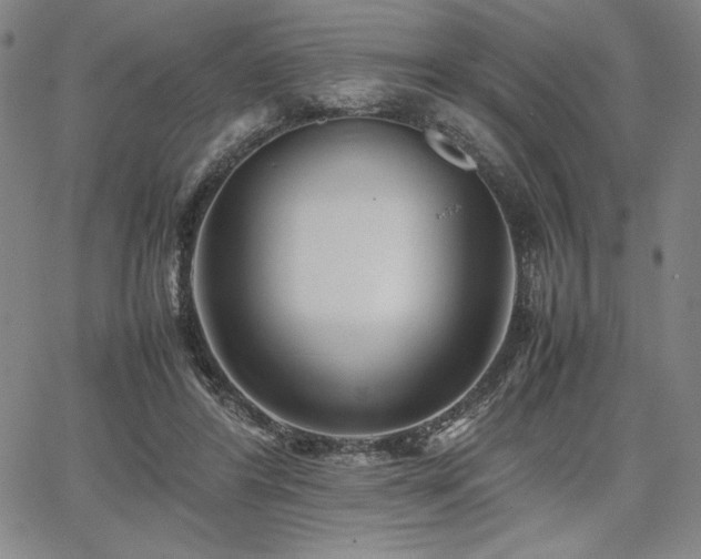 X0000067830404200604131206