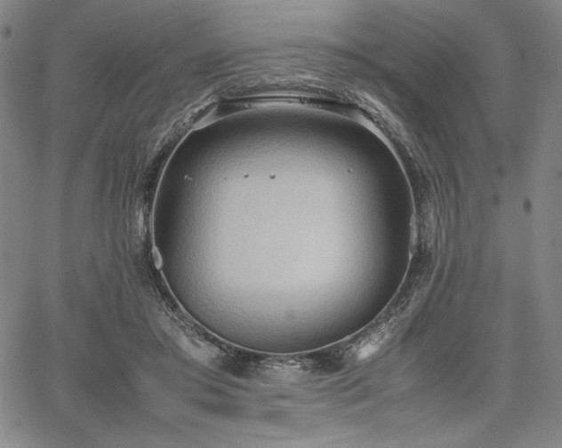 X0000067830405200604131206