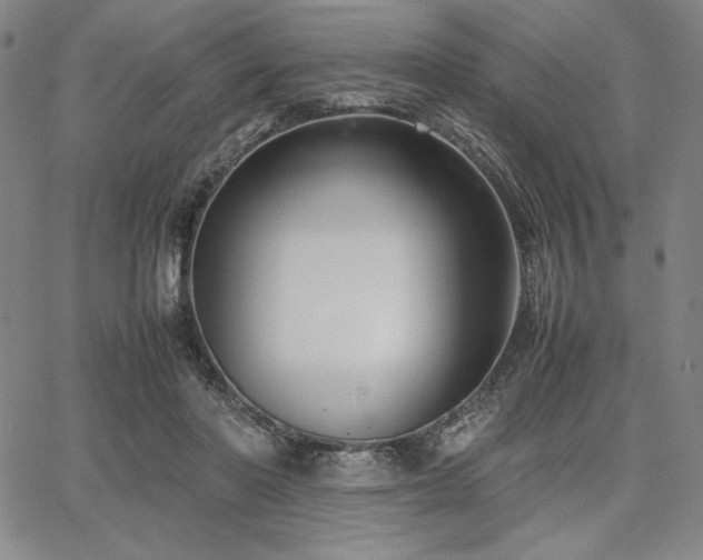 X0000067830406200604131206