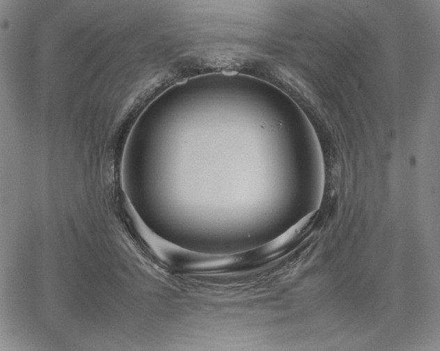 X0000067830407200604131206