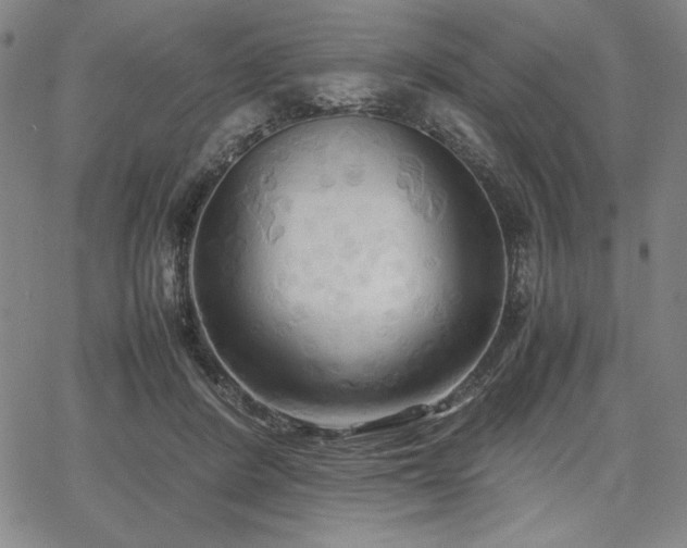 X0000067830408200604131206