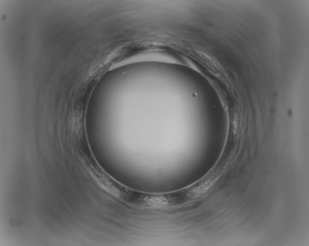 X0000067830409200604131206