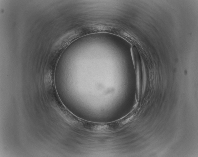 X0000067830410200604131206