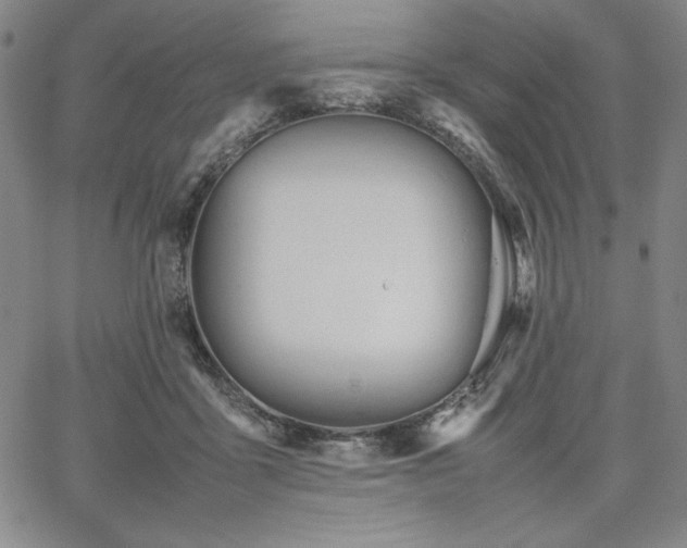 X0000067830411200604131206