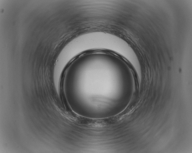 X0000067830412200604131206