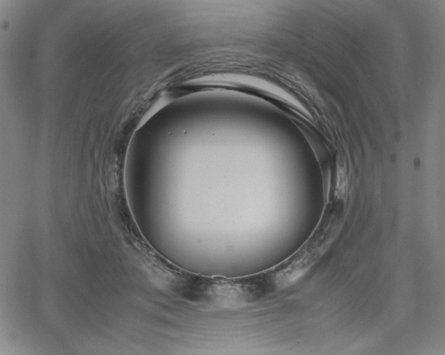 X0000067830413200604131206