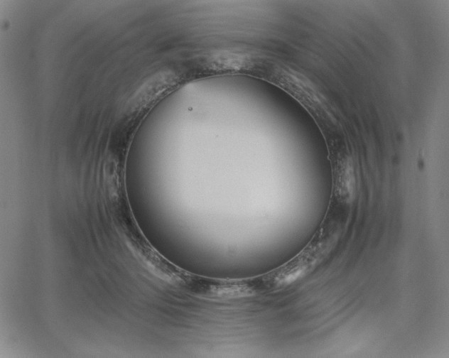 X0000067830414200604131206