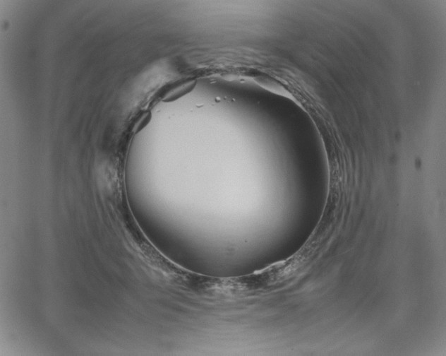 X0000067830415200604131206