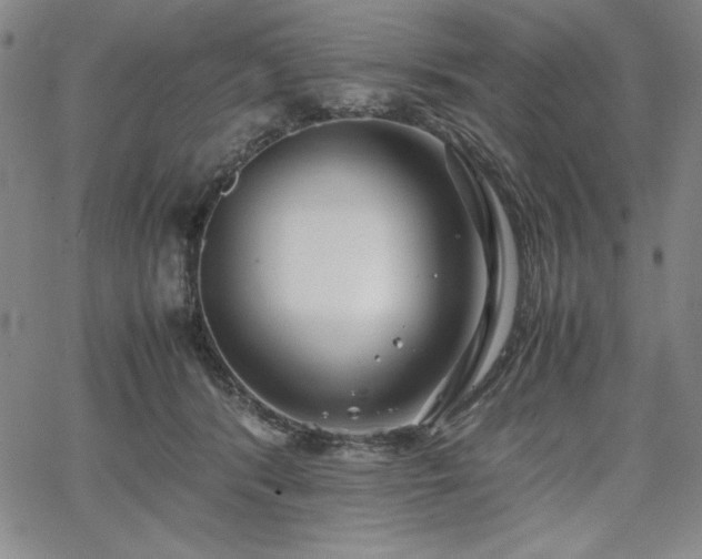 X0000067830416200604131206