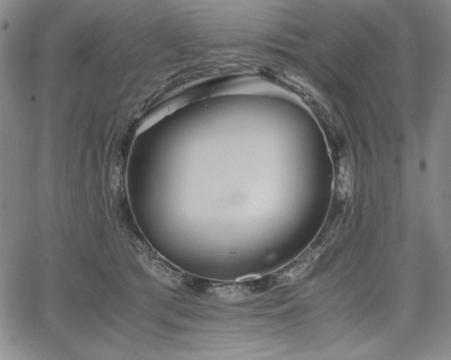 X0000067830417200604131206