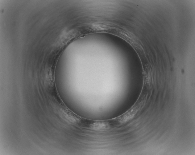 X0000067830418200604131206