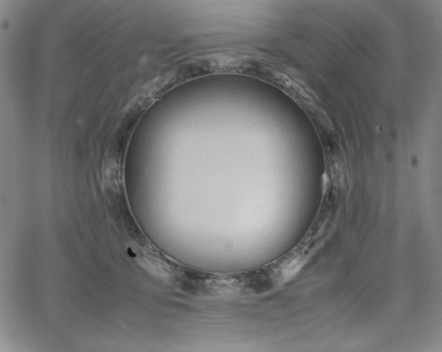 X0000067830419200604131206