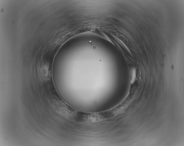 X0000067830420200604131206