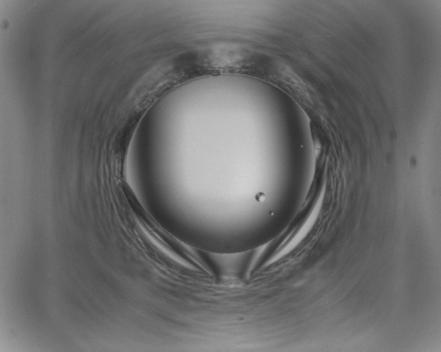 X0000067830421200604131206