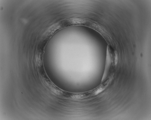 X0000067830422200604131206