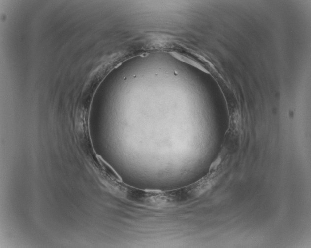 X0000067830423200604131206