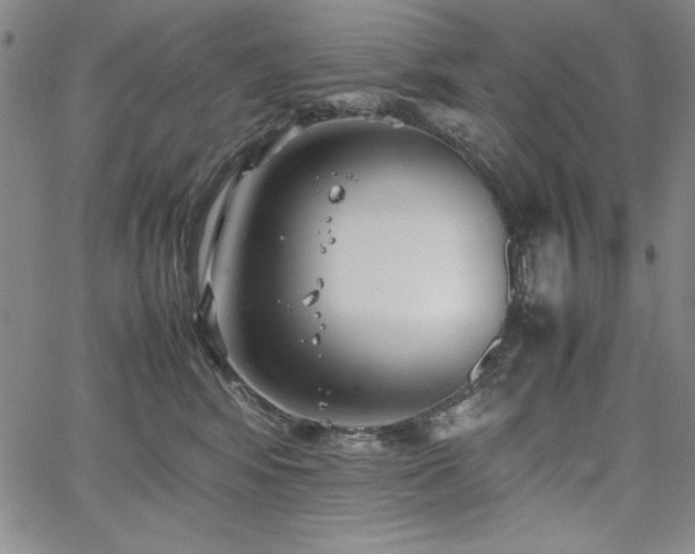 X0000067830424200604131206