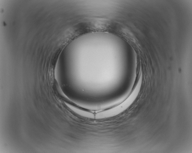 X0000067830425200604131205