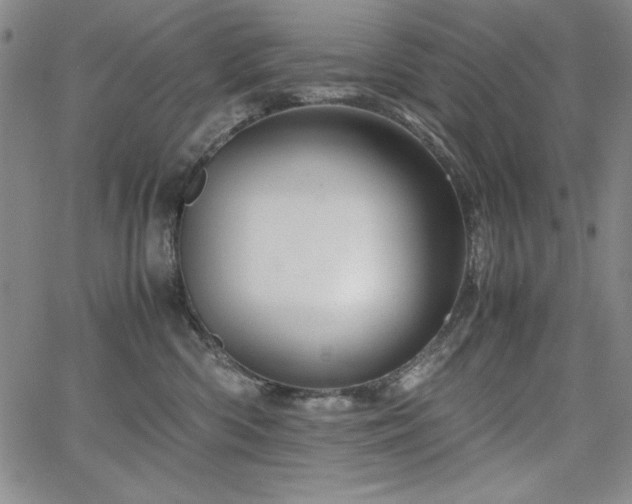 X0000067830426200604131205