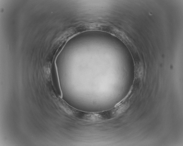 X0000067830427200604131205