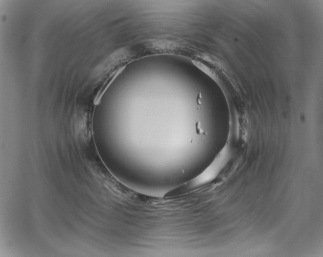 X0000067830428200604131205