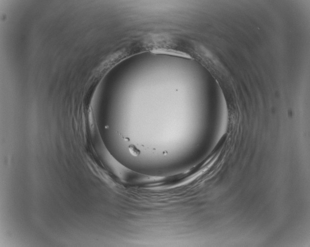 X0000067830429200604131205