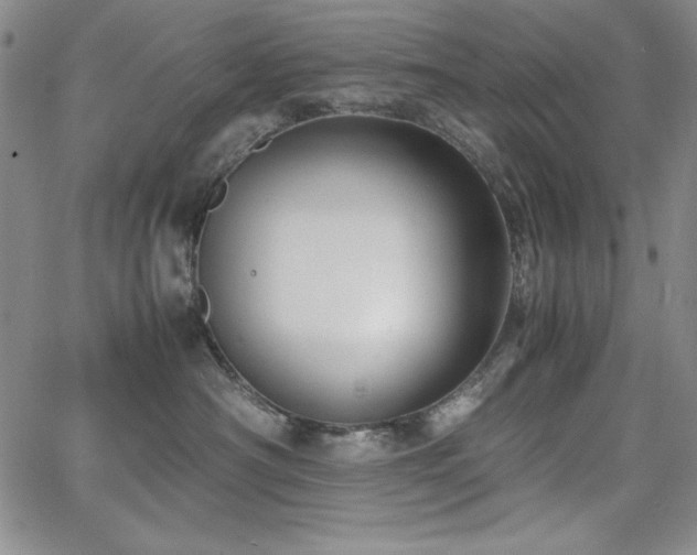 X0000067830430200604131205