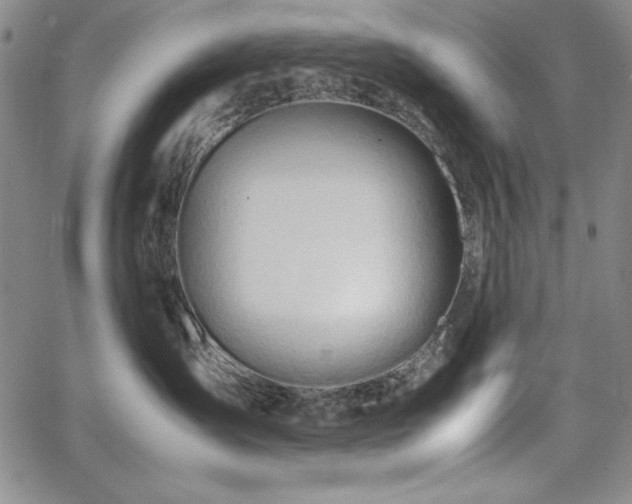 X0000067830431200604131205