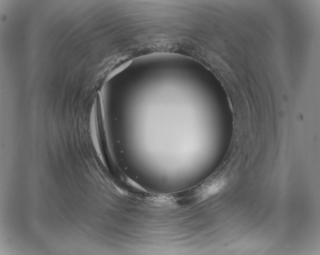 X0000067830432200604131205