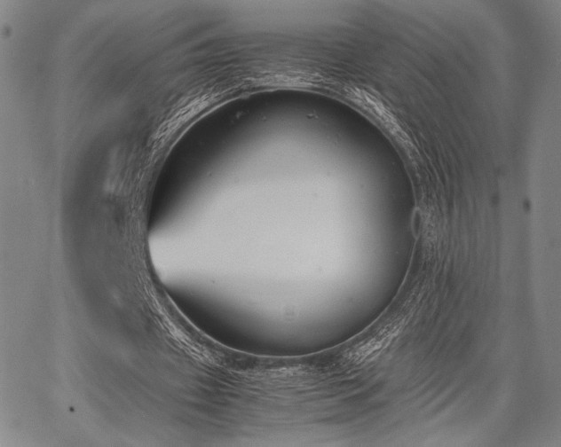 X0000067830433200604131205