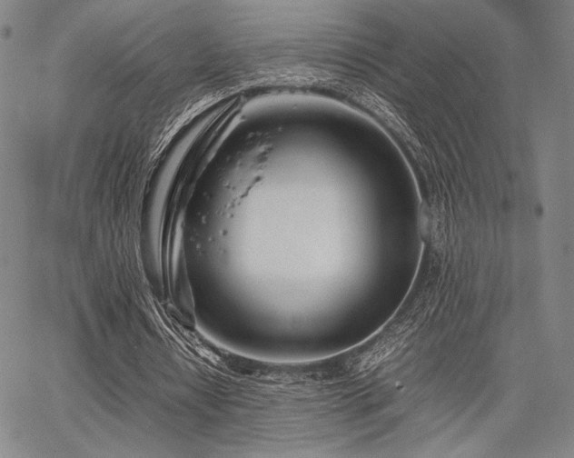 X0000067830434200604131205