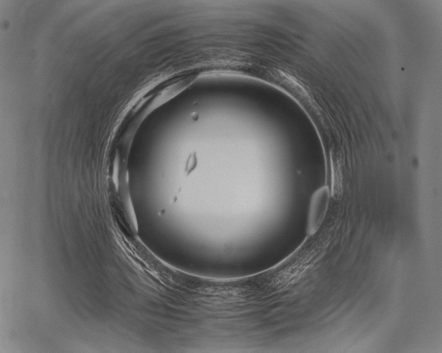 X0000067830435200604131205