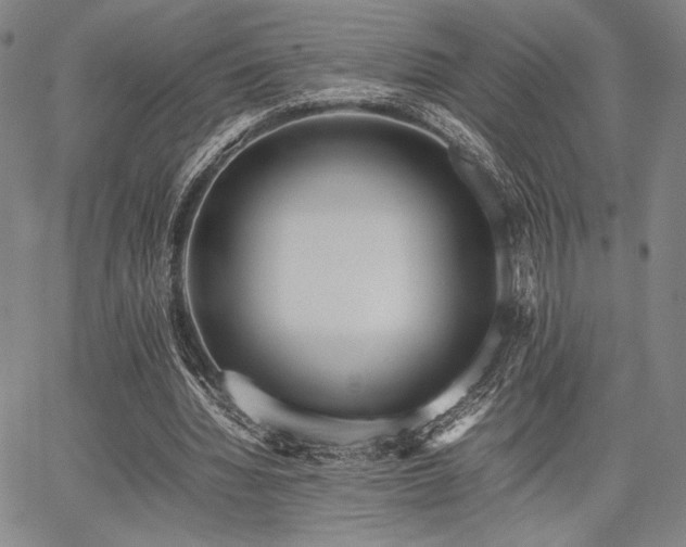 X0000067830436200604131205