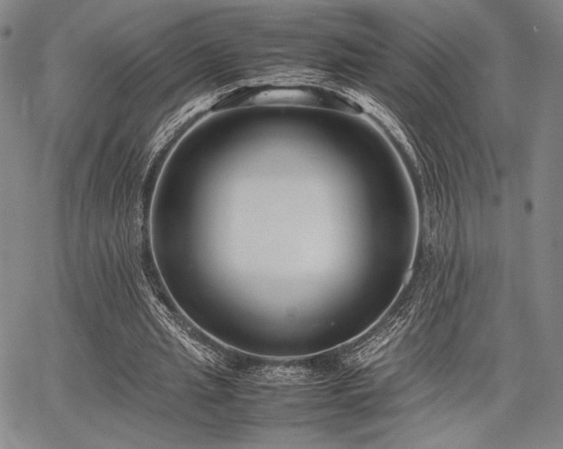 X0000067830437200604131205